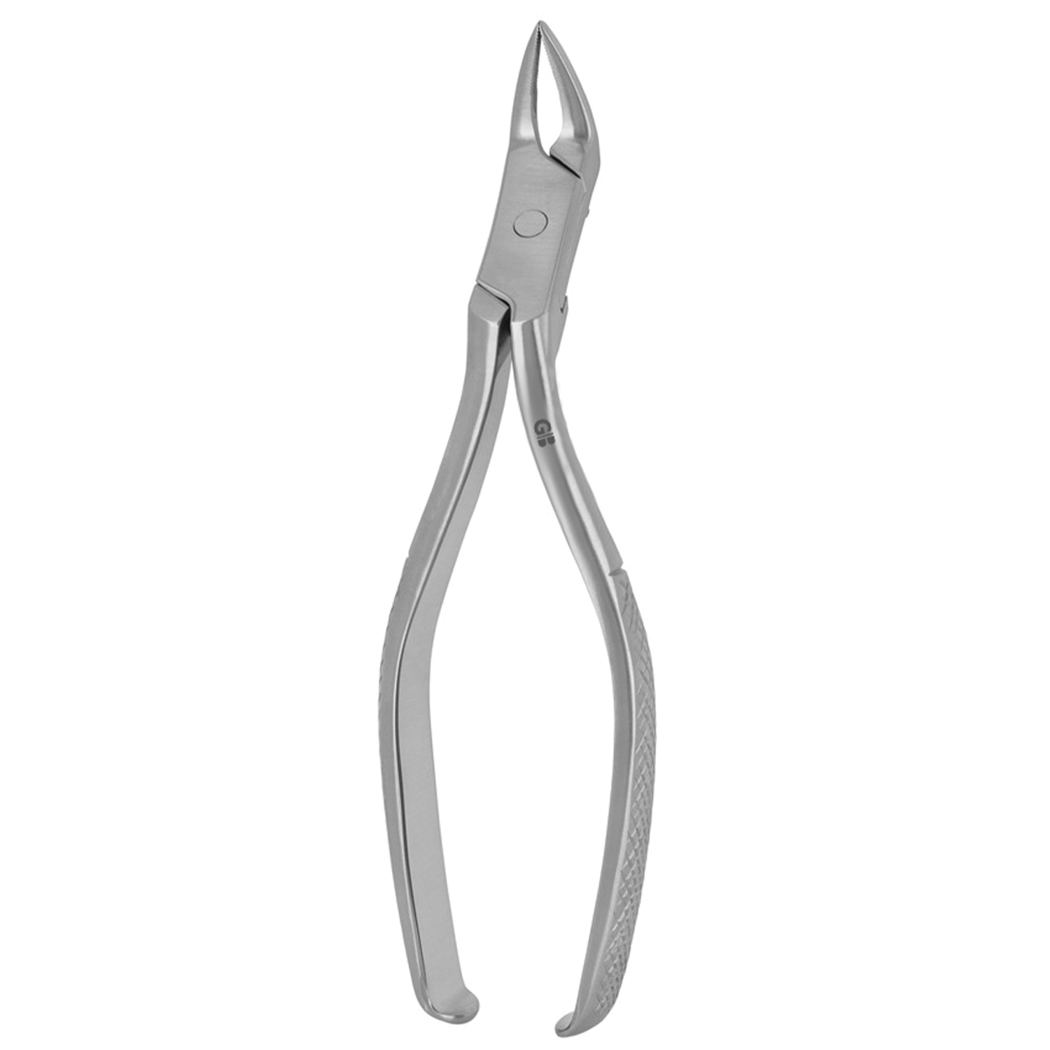 Meissner Extracting Forceps