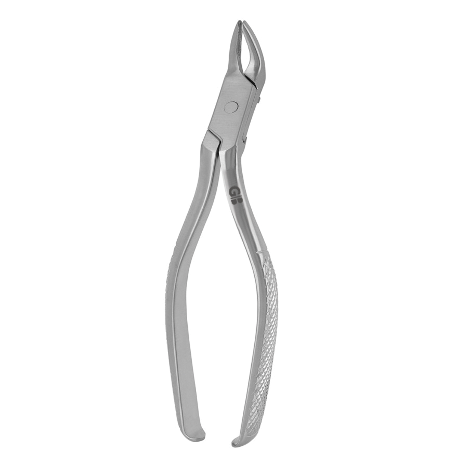 Meissner Extracting Forceps